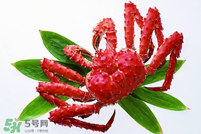 香椿能和海鮮一起吃嗎？香椿和海鮮能一起吃嗎？