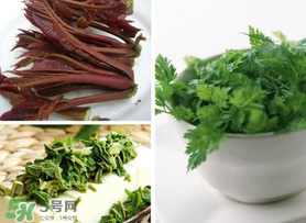 香椿和香菜能一起吃嗎？香椿和香菜怎么做？