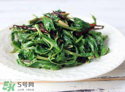 香椿和芹菜能一起吃嗎？香椿可以和芹菜同吃嗎？