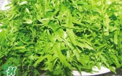 痛風(fēng)能吃苦菊嗎？苦菊痛風(fēng)人可以吃嗎
