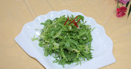 苦菊能和雞蛋一起吃嗎？苦菊可以和雞蛋一起吃嗎