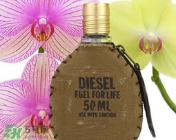 diesel迪塞爾是什么牌子？diesel是哪個國家的？