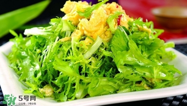 苦菊能和韭菜一起吃嗎？苦菊可以和韭菜一起吃嗎