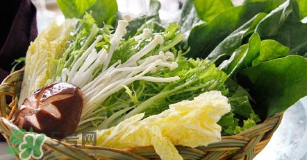 苦菊能涮火鍋吃嗎？苦菊可以涮火鍋嗎