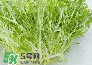 苦菊能和羊肉一起吃嗎？苦菊可以和羊肉一起吃嗎