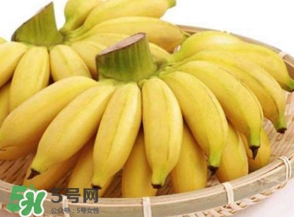 苦菊能和香蕉一起吃嗎？苦菊可以和香蕉一起吃嗎