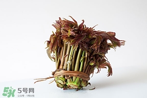 香椿樹(shù)什么時(shí)候發(fā)芽？香椿樹(shù)什么時(shí)候種植
