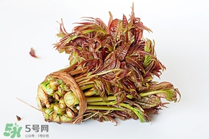 香椿樹(shù)什么時(shí)候發(fā)芽？香椿樹(shù)什么時(shí)候種植