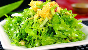 苦菊能和雞蛋一起吃嗎？苦菊可以和雞蛋一起吃嗎