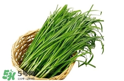 苦菊能和韭菜一起吃嗎？苦菊可以和韭菜一起吃嗎