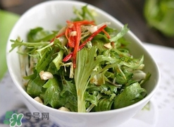苦菊苦嗎？苦菊苦不苦