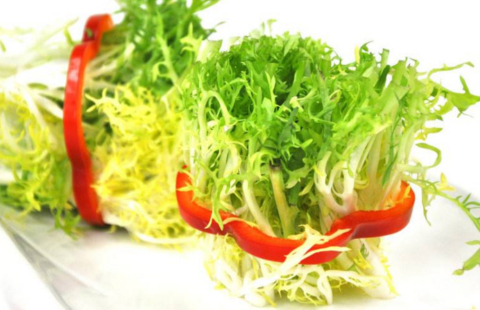 苦菊和什么相克？苦菊不能和什么同吃