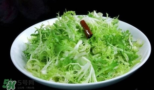 苦菊怎么吃好吃？苦菊怎么做好吃