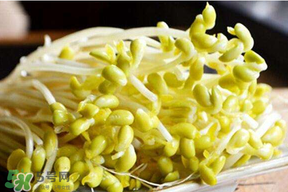 香椿和豆芽能一起吃嗎？香椿豆芽的做法大全