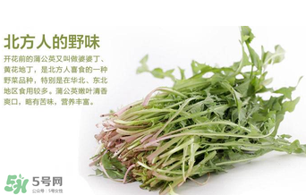 婆婆丁不能與什么同食？婆婆丁不能和什么一起吃？