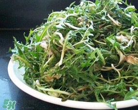 婆婆丁怎么吃？婆婆丁怎么吃最好？
