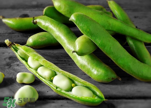 蠶豆什么時候成熟？蠶豆什么時候上市？