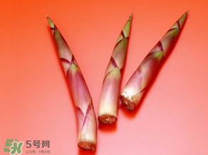 竹筍什么人不能吃？哪些人不適合吃竹筍？