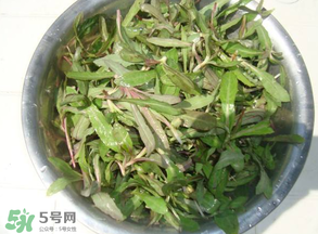 曲曲菜孕婦能吃嗎？孕婦可以吃曲曲菜嗎？
