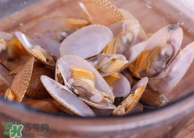 花甲怎么養(yǎng)不會(huì)死？花甲怎么養(yǎng)到用第二天？
