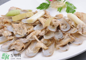 花甲怎么保存不會死？花甲怎么保存到次日？