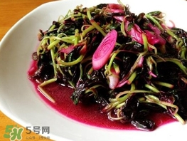 莧菜怎么摘？莧菜怎么處理
