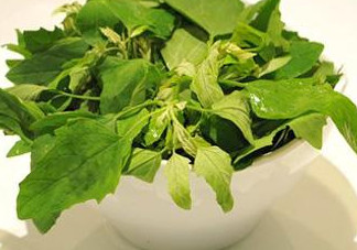 灰灰菜怎么吃？灰灰菜的吃法