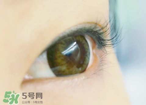 貝印和muji睫毛夾哪個(gè)好？貝印和無(wú)印良品睫毛夾對(duì)比