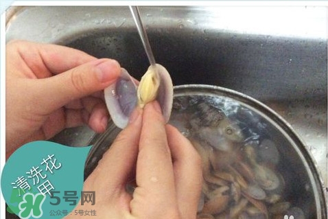芒果螺怎么清洗？芒果螺怎么吃