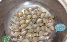 芒果螺怎么清洗？芒果螺怎么吃