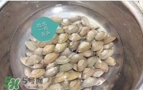 芒果螺怎么清洗？芒果螺怎么吃