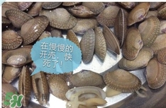 芒果螺怎么清洗？芒果螺怎么吃