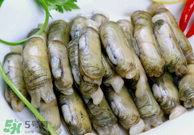 蟶子不能和什么一起吃？蟶子和什么不能一起吃？