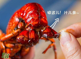 吃油燜大蝦會(huì)胖嗎？油燜大蝦的熱量是多少？