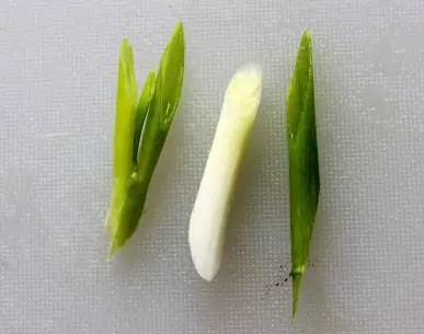 蒜苗怎么切？蒜苗如何切