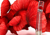 kenzo香水一枝花多少錢？kenzo一枝花香水怎么樣價(jià)格