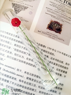 kenzo香水一枝花多少錢？kenzo一枝花香水怎么樣價格