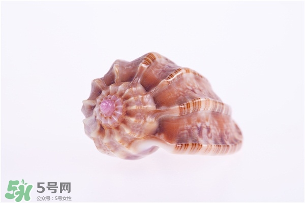 海螺的尾部能吃嗎？海螺的尾巴可以吃嗎