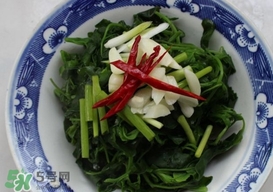 灰灰菜有什么功效？灰灰菜有什么營養(yǎng)價值
