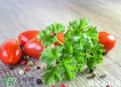 四月份可以種香菜嗎？四月份還能種香萊嗎？