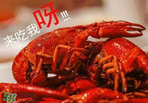 煮熟的小龍蝦隔夜能吃嗎？煮熟的小龍蝦能放多久？