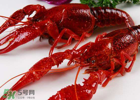 龍蝦發(fā)苦怎么回事？龍蝦發(fā)苦能吃嗎？