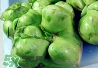 芥菜疙瘩有營養(yǎng)嗎？芥菜疙瘩的營養(yǎng)價(jià)值