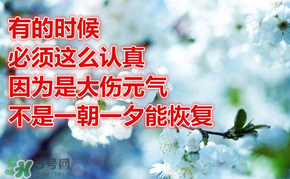 九毒日是哪幾天？2017年九毒日是哪幾天？