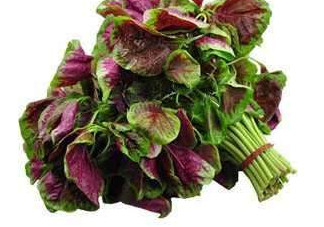 野莧菜能吃嗎？野莧菜圖片