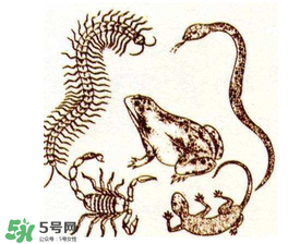 五毒日是哪幾天？2017年五毒日是哪幾天？