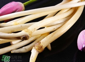 藕帶什么時候有？藕帶什么時候上市