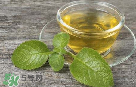 薄荷泡水喝有什么好處？薄荷葉泡水的功效