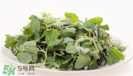 灰灰菜能吃嗎？灰灰菜怎么做菜才好吃