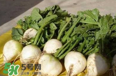 芥菜疙瘩孕婦能吃嗎？孕婦可以吃芥菜疙瘩嗎